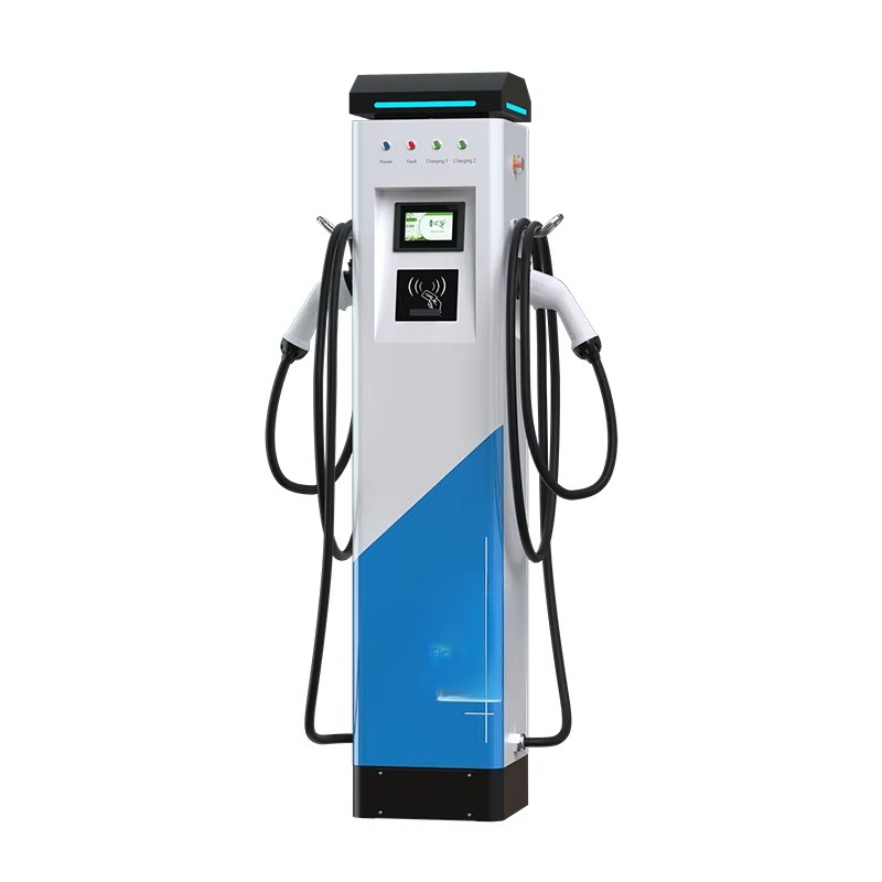 BLUESKY Stazione di Ricarica p - Fast Ev Charger recensione e prezzo