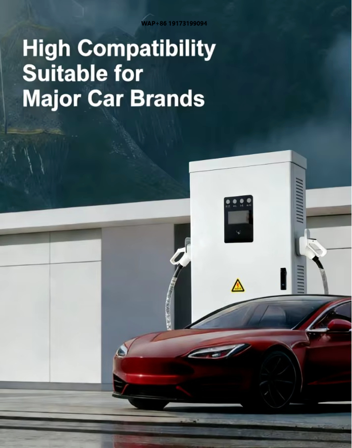 Colonnina di Ricarica per Veic - Ev Charging Pile recensione e prezzo