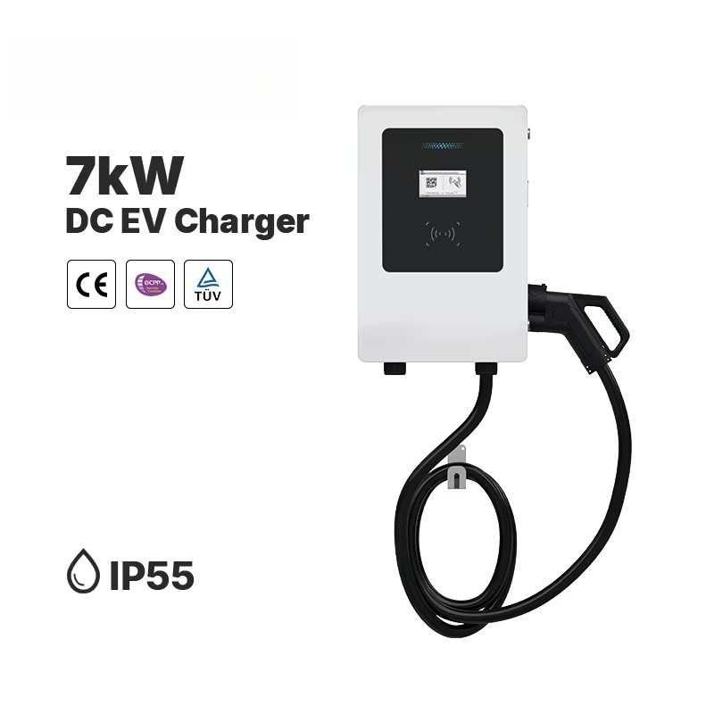Nuovo Caricatore Rapido DC per - Fast Ev Charger recensione e prezzo