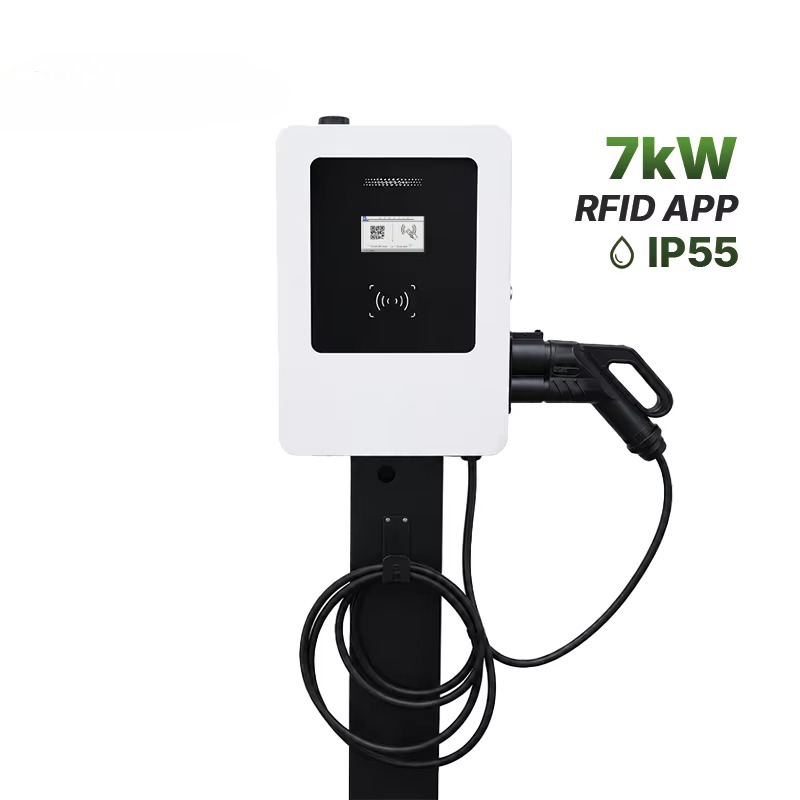 Nuovo Caricatore Rapido DC per - Fast Ev Charger recensione e prezzo